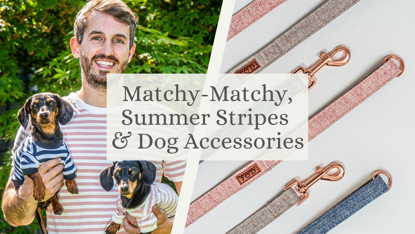 Matchy-Matchy, Summer Stripes & Dog Accessories