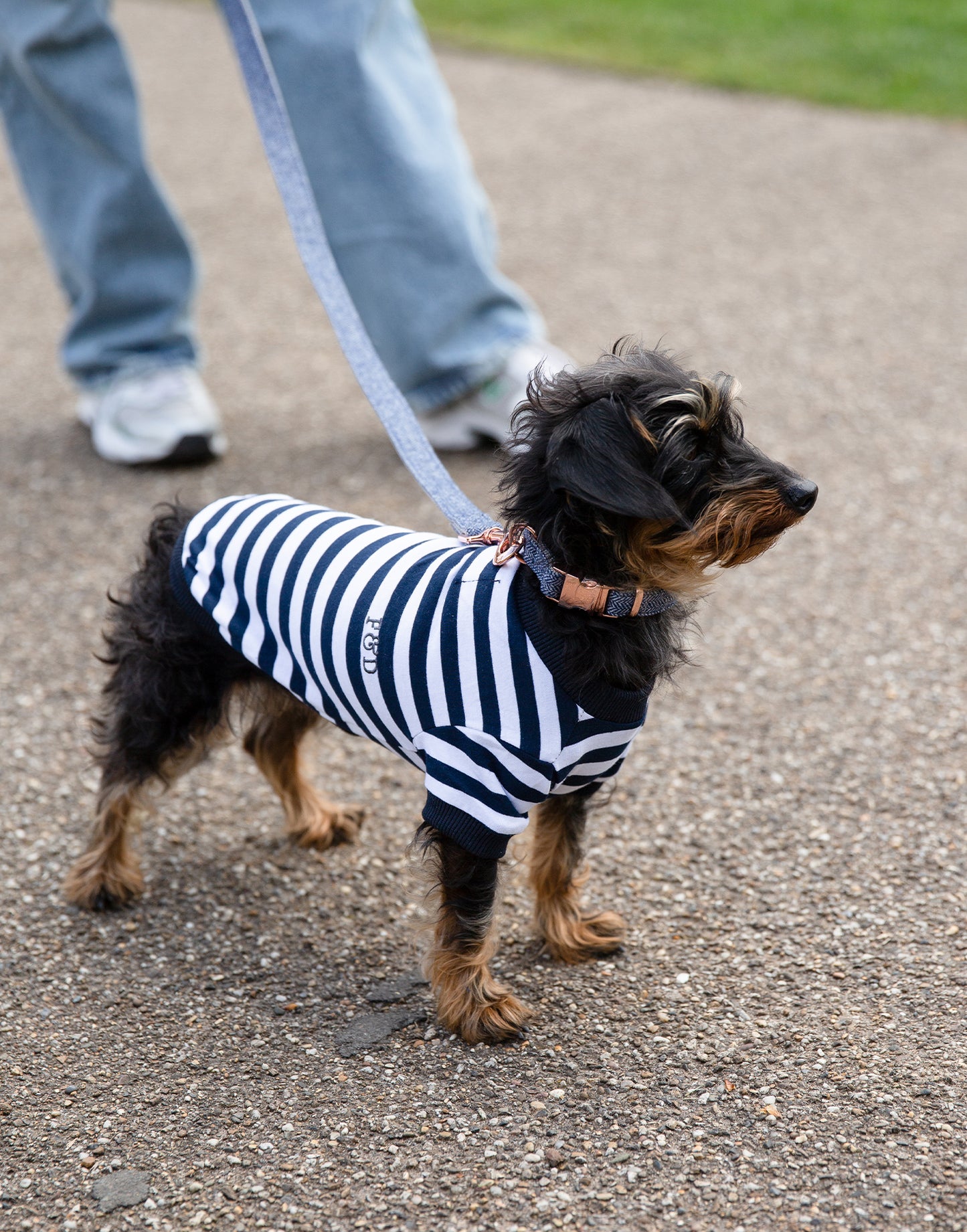 Tweed Dog Collar