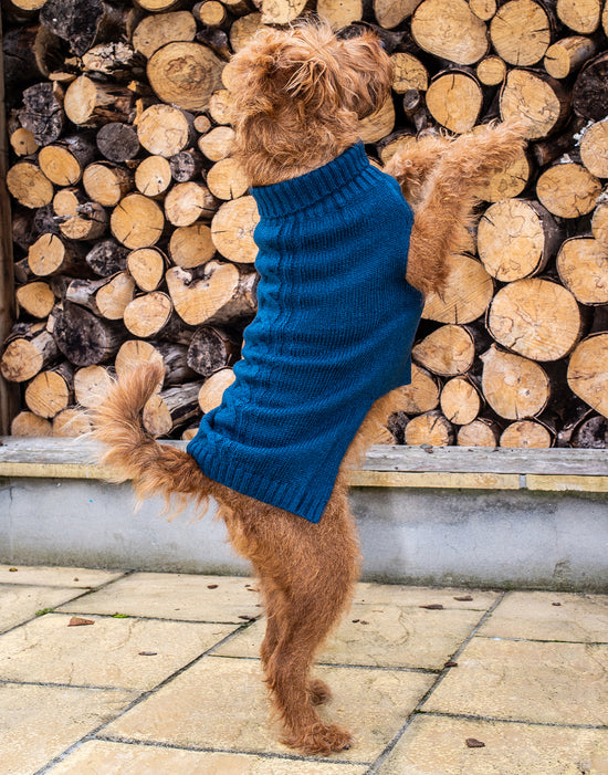 Cable Knit Dog Jumper